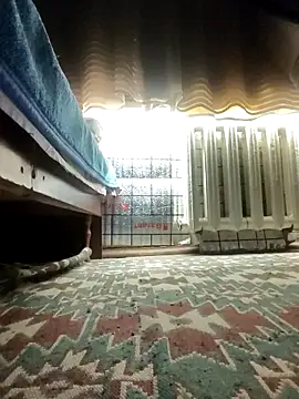 olegtyrbo online show from 10/21/25, 04:08