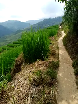 nhinhi-sexy online show from 10/10/25, 05:39