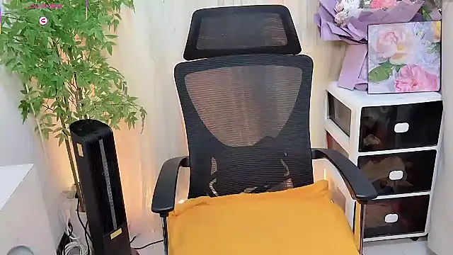 NEWONETO online show from 02/04/26, 12:55