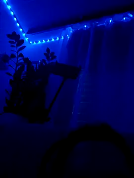 Taylor Sex6 online show from 02/12/26, 08:20