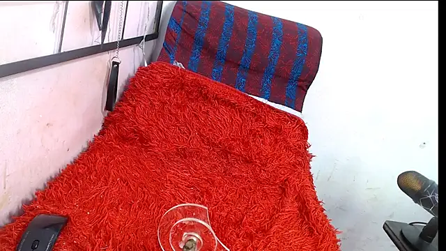 codorniz2025 online show from 01/08/26, 08:33