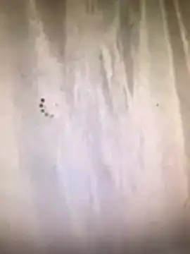 Snapshot of amasha200 chatting on 03/09/26, 12:03 amasha200 online show from 03/09/26, 12:03