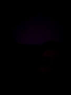 Snapshot of haze1233 chatting on 10/29/25, 02:14 haze1233 online show from 10/29/25, 02:14