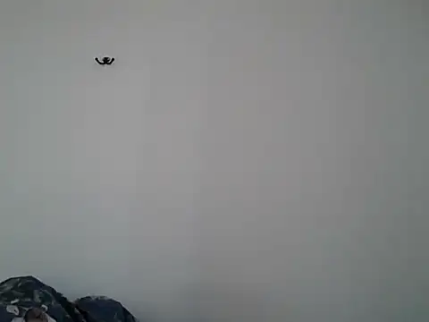 VanBeatPL online show from 10/10/25, 08:57