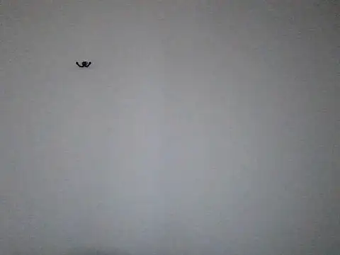 VanBeatPL online show from 10/13/25, 07:08