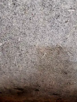 Snapshot of nagepalli chatting on 11/14/25, 03:49 nagepalli online show from 11/14/25, 03:49