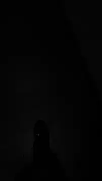 tia   fox online show from 11/24/25, 07:41