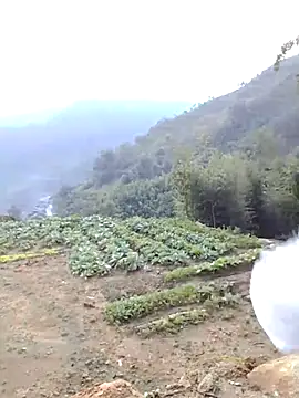 Snapshot of Bum_538 chatting on 11/23/25, 12:21 Bum 538 online show from 11/23/25, 12:21