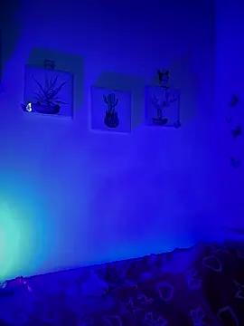 Snapshot of Solaangel_ chatting on 12/17/25, 11:44 Solaangel online show from 12/17/25, 11:44