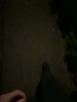 Snapshot of ncjuice_ chatting on 10/31/25, 10:00 ncjuice online show from 10/31/25, 10:00