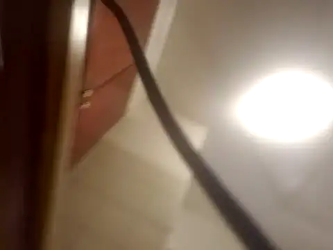 Curious9884 online show from 02/01/26, 07:18