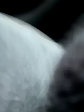 pleasedontpressaredburton online show from 10/14/25, 02:29