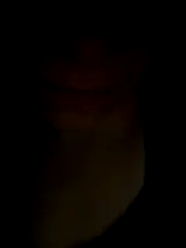 pleasedontpressaredburton online show from 11/14/25, 01:04