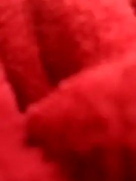 ProXydelhi online show from 02/07/26, 11:19