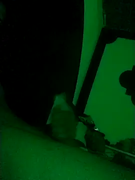 Buddha289 online show from 02/22/26, 09:41