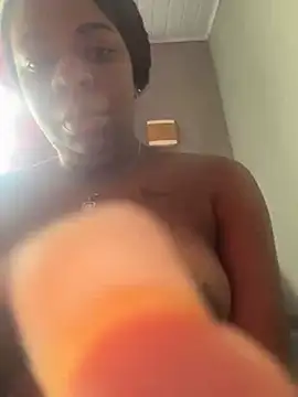 Priihmedeiros online show from 11/19/25, 10:59