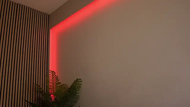 sisi von dee online show from 11/11/25, 08:53