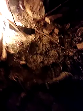 Sikici0734 online show from 10/06/25, 05:21