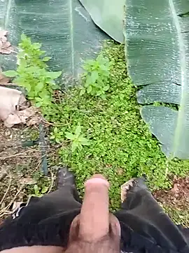 Sikici0734 online show from 12/04/25, 07:06