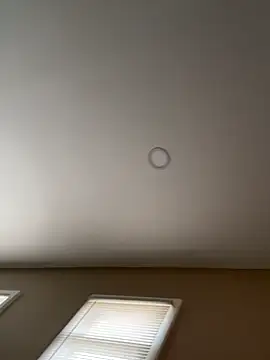 murphdolla online show from 11/29/25, 02:42