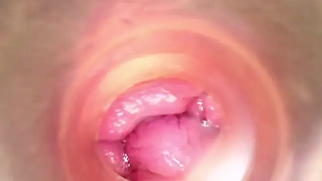 shannon kinne  online show from 03/29/26, 05:46