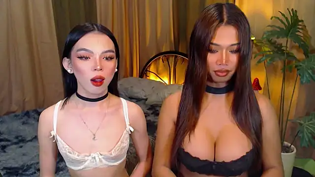 TWINKTRANSSHANEL online show from 10/08/25, 04:32