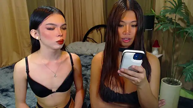 TWINKTRANSSHANEL online show from 10/12/25, 04:33