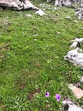 Snapshot of Sert_erkek21_ysm chatting on 03/23/26, 10:19 Sert erkek21 ysm online show from 03/23/26, 10:19