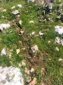 Snapshot of Sert_erkek21_ysm chatting on 03/24/26, 11:26 Sert erkek21 ysm online show from 03/24/26, 11:26