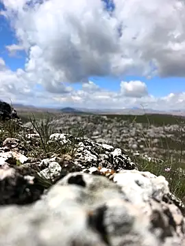 Snapshot of Sert_erkek21_ysm chatting on 03/31/26, 09:21 Sert erkek21 ysm online show from 03/31/26, 09:21