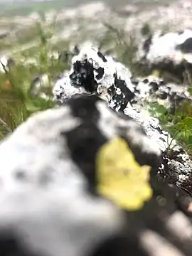 Snapshot of Sert_erkek21_ysm chatting on 04/09/26, 01:27 Sert erkek21 ysm online show from 04/09/26, 01:27