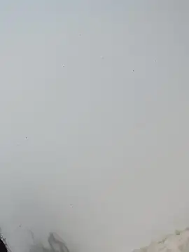 Snapshot of _Bella_Beth_ chatting on 12/02/25, 12:49 Bella Beth online show from 12/02/25, 12:49