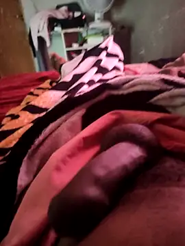 picadme online show from 10/06/25, 05:10