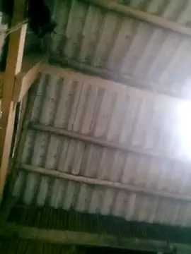 Snapshot of Ducky27021991 chatting on 10/18/25, 12:17 Ducky27021991 online show from 10/18/25, 12:17