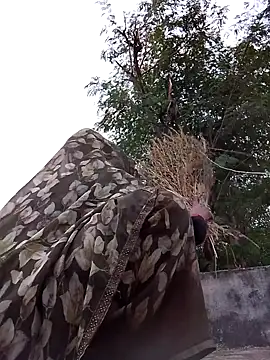 Snapshot of Hot_eras36 chatting on 10/22/25, 11:54 Hot eras36 online show from 10/22/25, 11:54