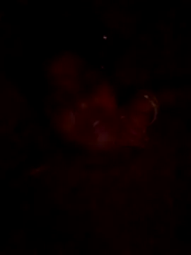 Tg sonam online show from 10/23/25, 04:17