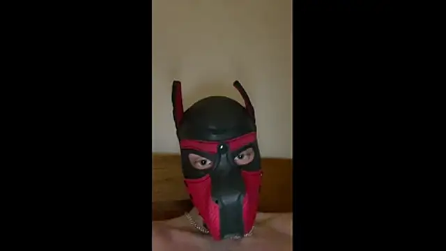 Snapshot of MolleDolle chatting on 03/11/26, 08:09 MolleDolle online show from 03/11/26, 08:09