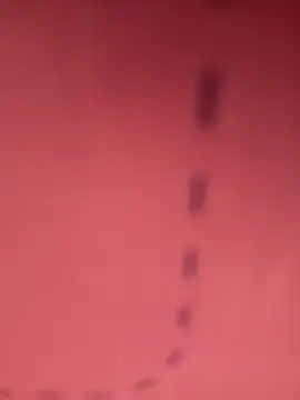 Snapshot of herz19033 chatting on 10/29/25, 06:09 herz19033 online show from 10/29/25, 06:09