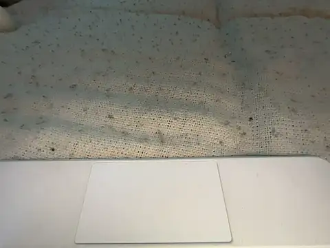 Snapshot of goddesemiiyy chatting on 11/18/25, 06:34 goddesemiiyy online show from 11/18/25, 06:34