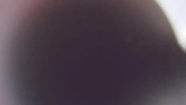 Stefano Calle online show from 12/03/25, 11:41