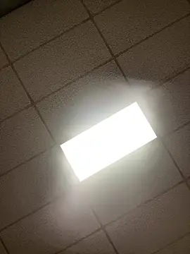 Snapshot of lexuslover687 chatting on 04/17/26, 07:11 lexuslover687 online show from 04/17/26, 07:11