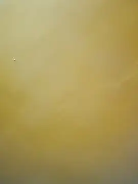 tamil-mala23 online show from 10/18/25, 11:44