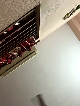 Snapshot of Telugu_dirty_talk_couple chatting on 11/20/25, 07:13 Telugu dirty talk couple online show from 11/20/25, 07:13