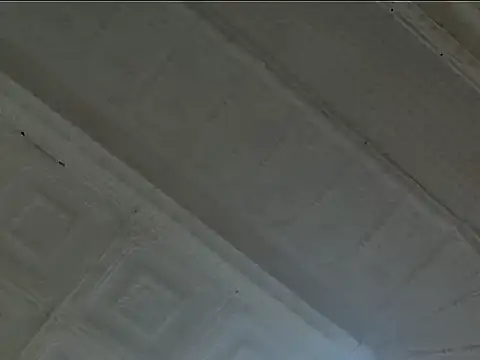 EsotericPaloma online show from 10/24/25, 07:10