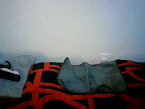 Ntokozo290 online show from 11/11/25, 07:03