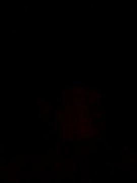 sants13 online show from 10/31/25, 09:49