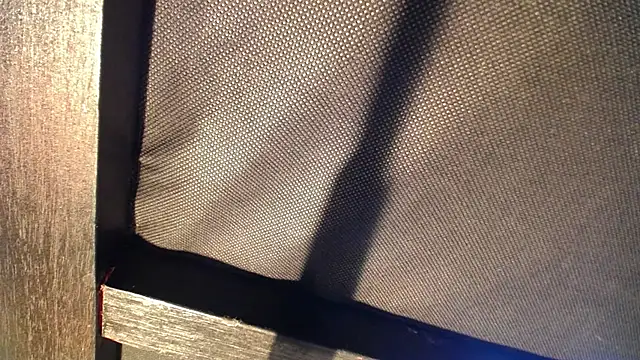 Snapshot of celeste_solis chatting on 11/24/25, 08:19 celeste solis online show from 11/24/25, 08:19