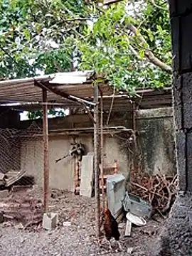 blackhot30 online show from 12/01/25, 06:57