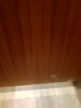 Snapshot of leeya14 chatting on 10/11/25, 04:12 leeya14 online show from 10/11/25, 04:12