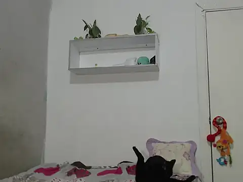 Snapshot of Renata_Rivas chatting on 02/25/26, 03:49 Renata Rivas online show from 02/25/26, 03:49